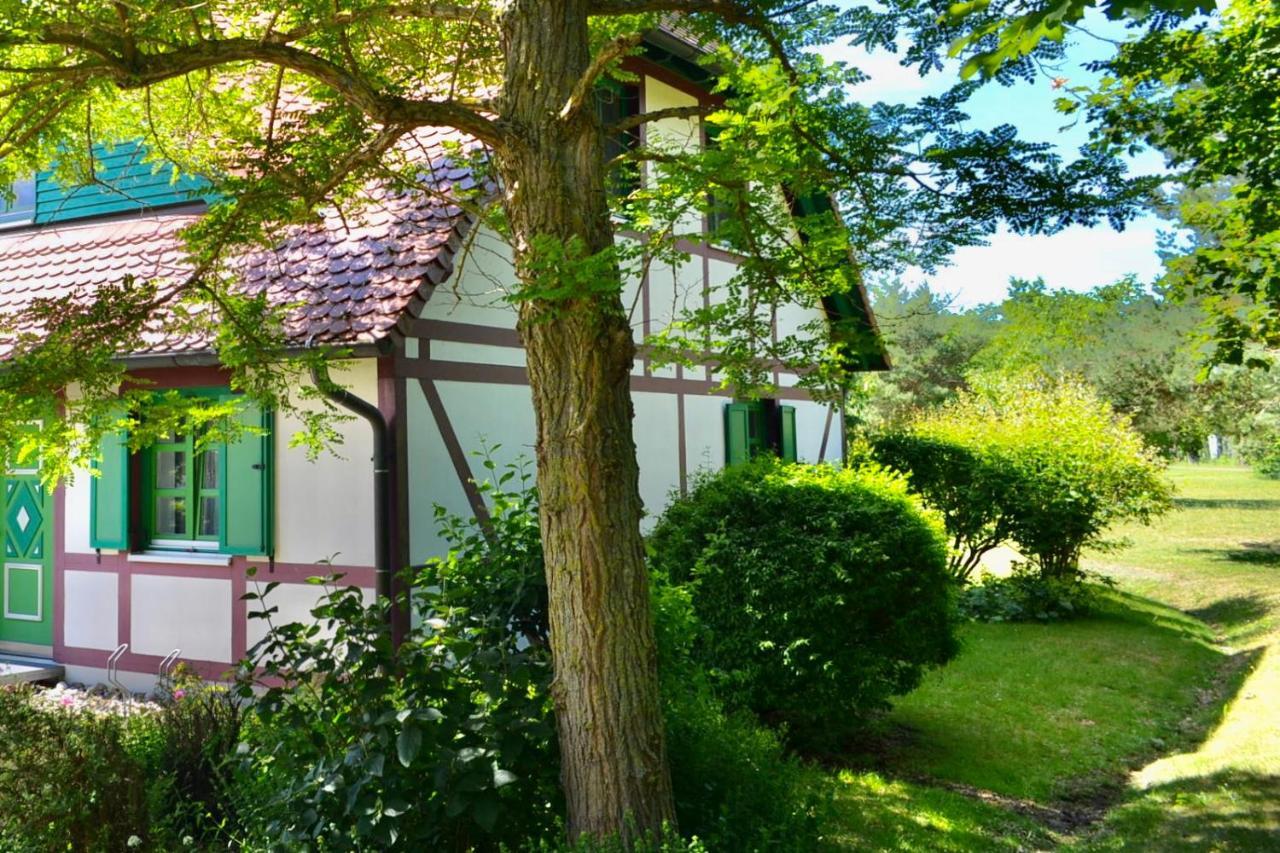 Strandnahe Ferienwohnung Ruegen Dranske Extérieur photo