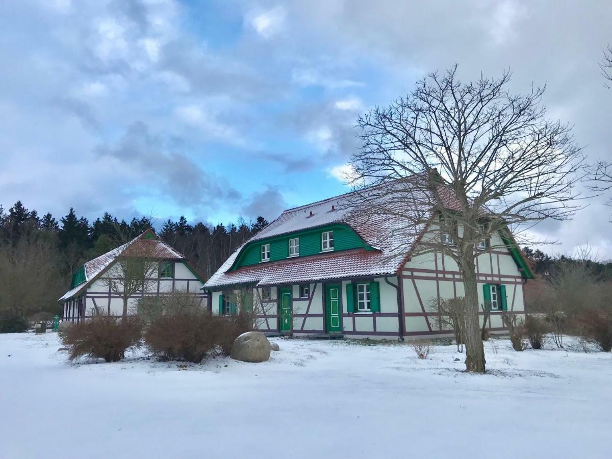 Strandnahe Ferienwohnung Ruegen Dranske Extérieur photo
