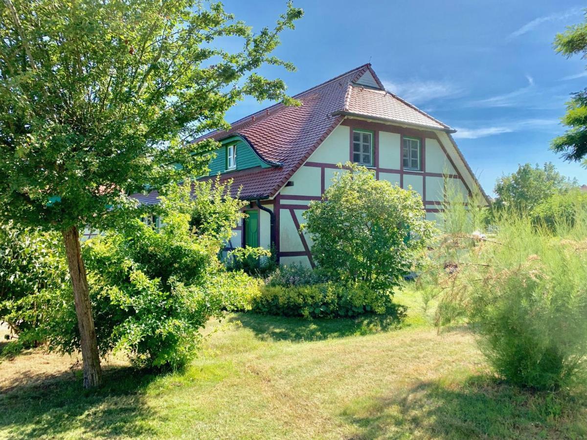 Strandnahe Ferienwohnung Ruegen Dranske Extérieur photo